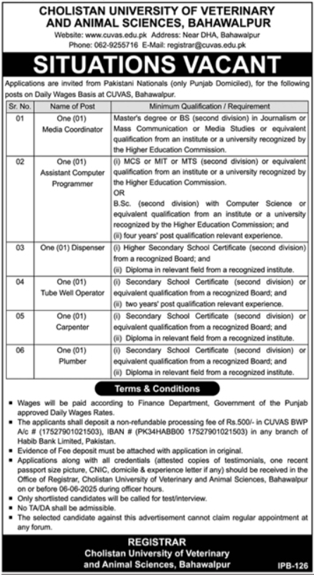 Cholistan University of Veterinary and Animal Sciences CUVAS Jobs